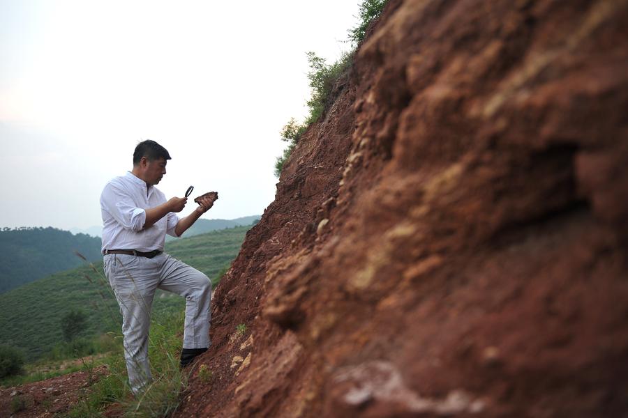 Artesano de cerámica de arcilla morada persigue su sue?o