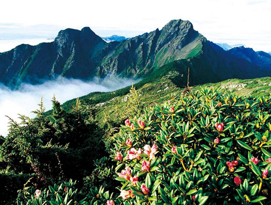 Yushan, la monta?a más alta de Taiwán 4