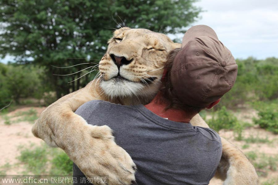 Gracias, mi amigo humano