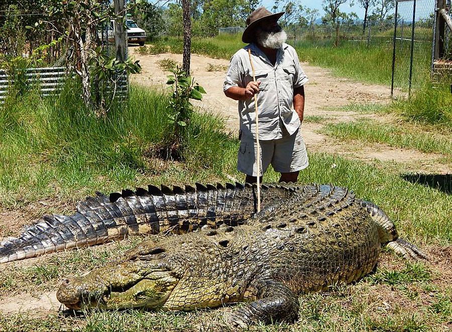 Robert Bredl, el jinete de cocodrilos y encantador de reptiles