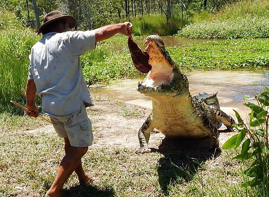 Robert Bredl, el jinete de cocodrilos y encantador de reptiles