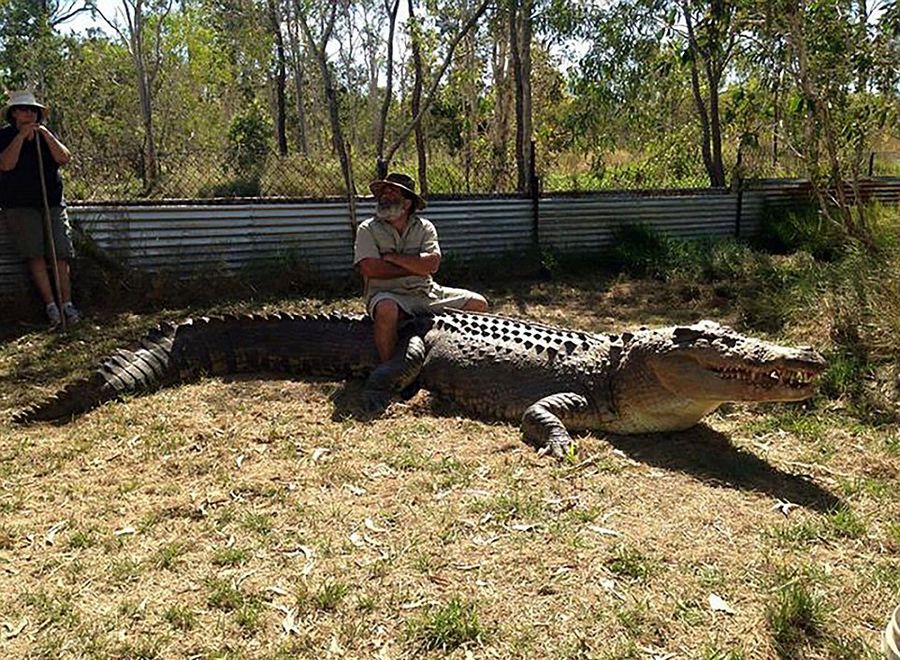 Robert Bredl, el jinete de cocodrilos y encantador de reptiles