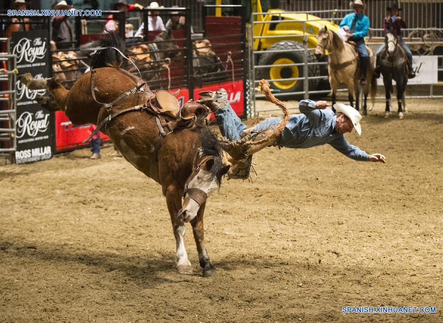 Competición Real de Caballo 2015 en Toronto, Canadá