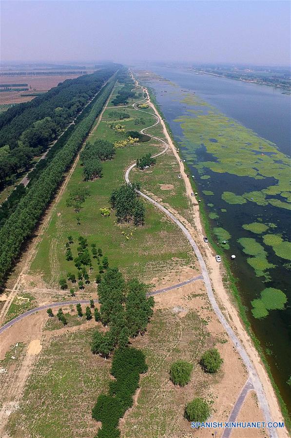 TIANJIN, junio 19, 2016 (Xinhua) -- Vista aérea del paisaje del humedal del Río Chaobai, en la municipalidad de Tianjin, en el norte de China, el 19 de junio de 2016. El parque del humedal del Río Chaobai en Baodi, distrito de Tianjin, el cual se encuentra bajo construcción, será completado para abrir en breve al público. (Xinhua/Yue Yuewei)