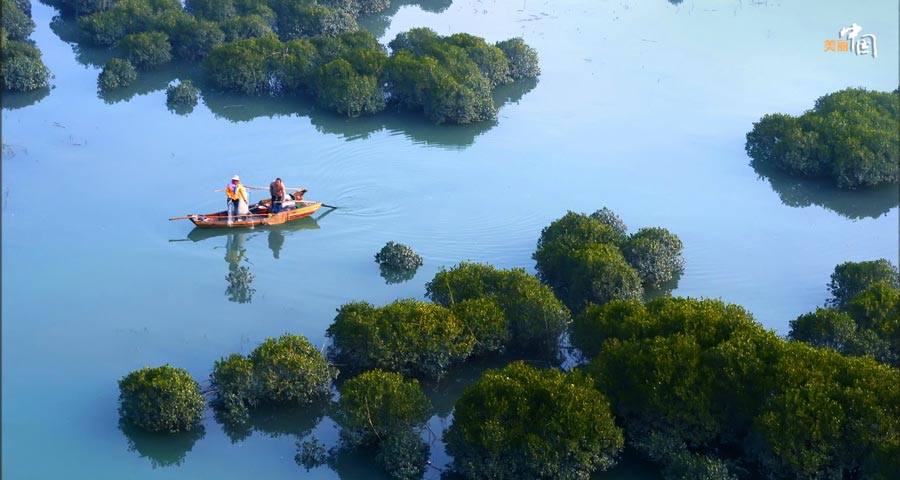 La hermosa costa de Xiapu, condado más antiguo de Fujian 2