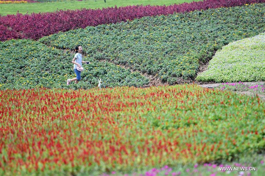 La gente disfruta de las flores en el Valle Qijianghengshan