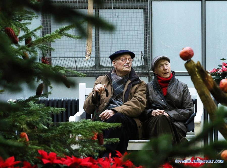 Exposición de Navidad en Jardín de Palmeras en Frankfurt, Alemania