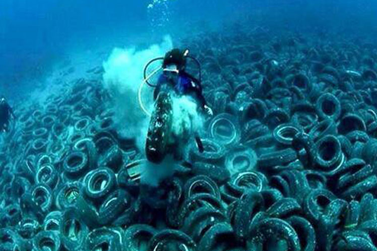 La contaminación invade las fosas marinas más profundas del planeta