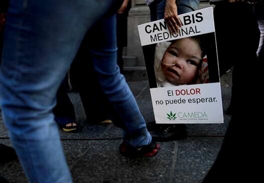 Argentina aprueba uso medicinal de cannabis