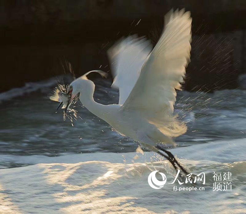 Fotógrafo local nos muestran la belleza de Xiamen