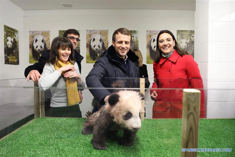 Presidente Macron celebra su cumplea?os con cachorro de panda Yuan Meng