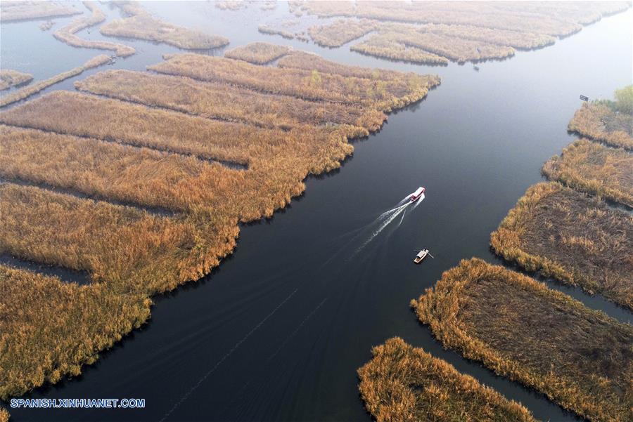 Hebei: Vista del paisaje del área escénica del Lago Baiyangdian