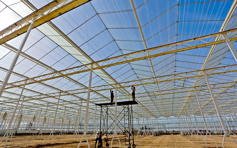 El 30 de julio, imagen de la segunda fase del moderno proyecto de invernaderos inteligentes de alta tecnología en construcción, en la zona del proyecto de demostración ecológica del cultivo industrializado de Haisheng en Zhangye, provincia de Gansu. Wang Jiang / Pueblo en Línea