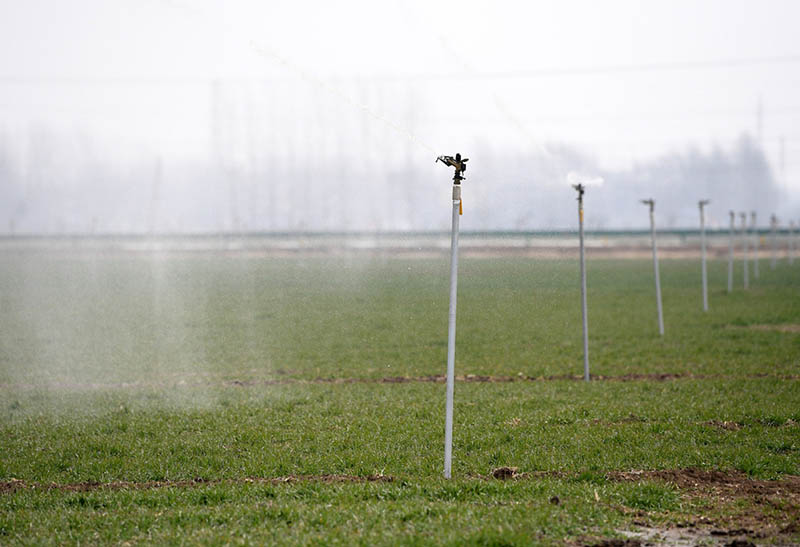 Sistema automático de riego y fertilización en una novedosa granja automatizada e inteligente de Zhaoqiao, Bozhou, provincia de Anhui, 11 de febrero del 2022. [Foto: Xinhua]